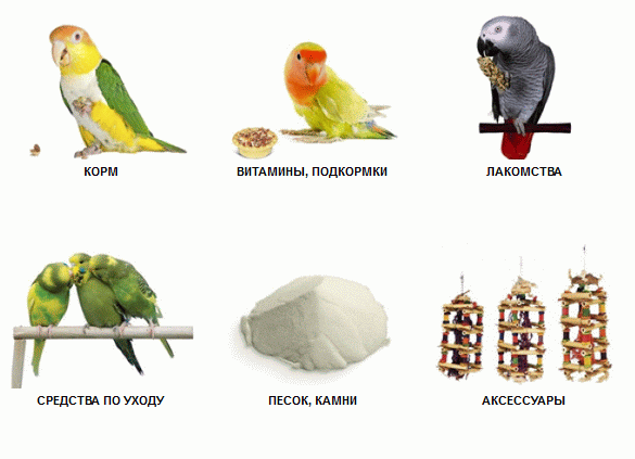 Товары для птиц